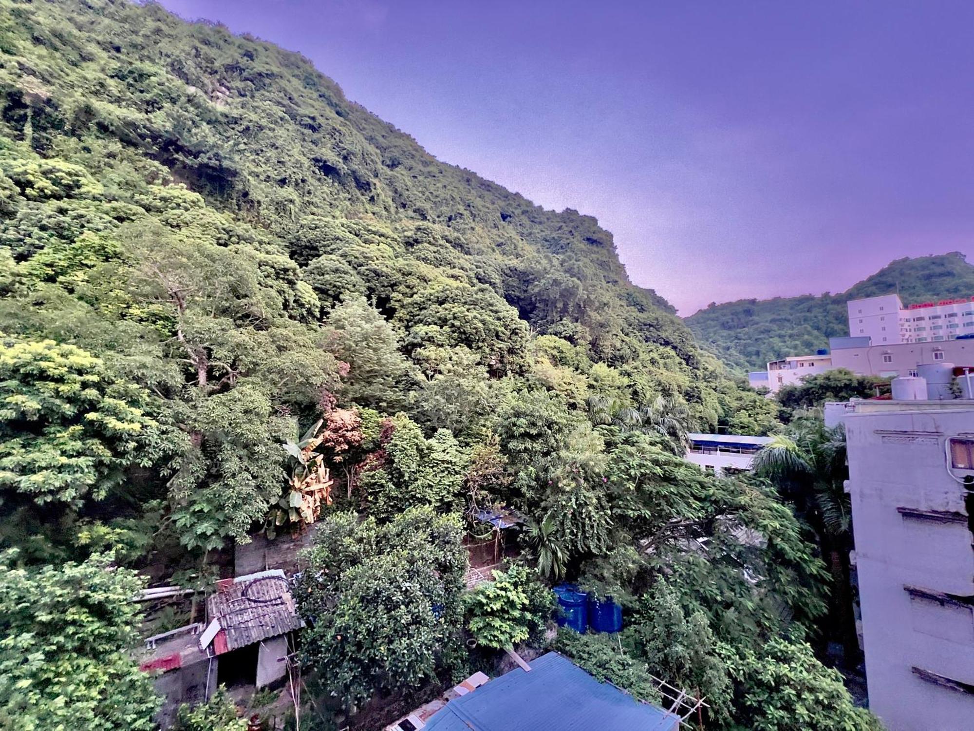 Manh Vuong Hotel Catba Dong Khe Sau 외부 사진