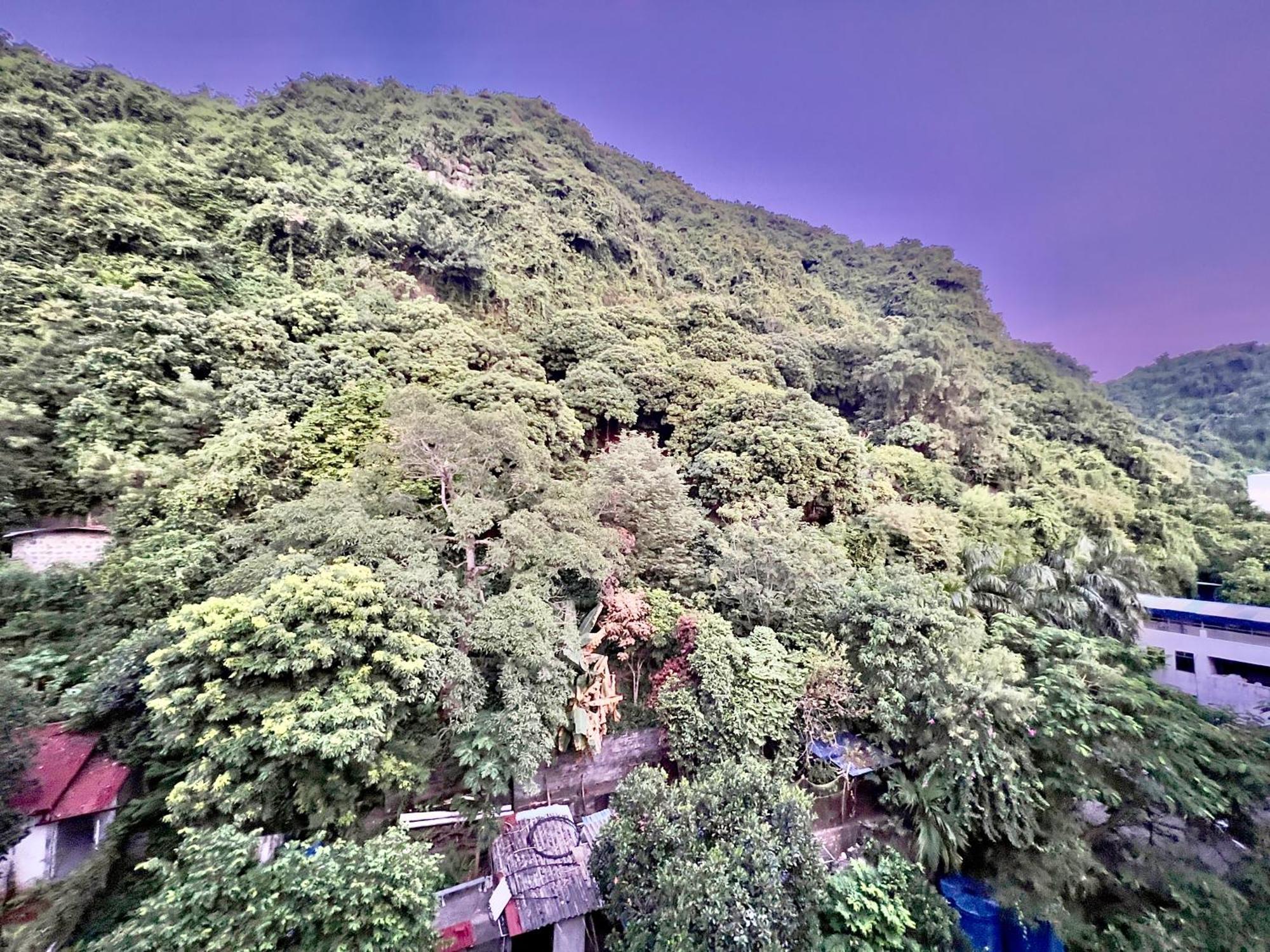 Manh Vuong Hotel Catba Dong Khe Sau 외부 사진