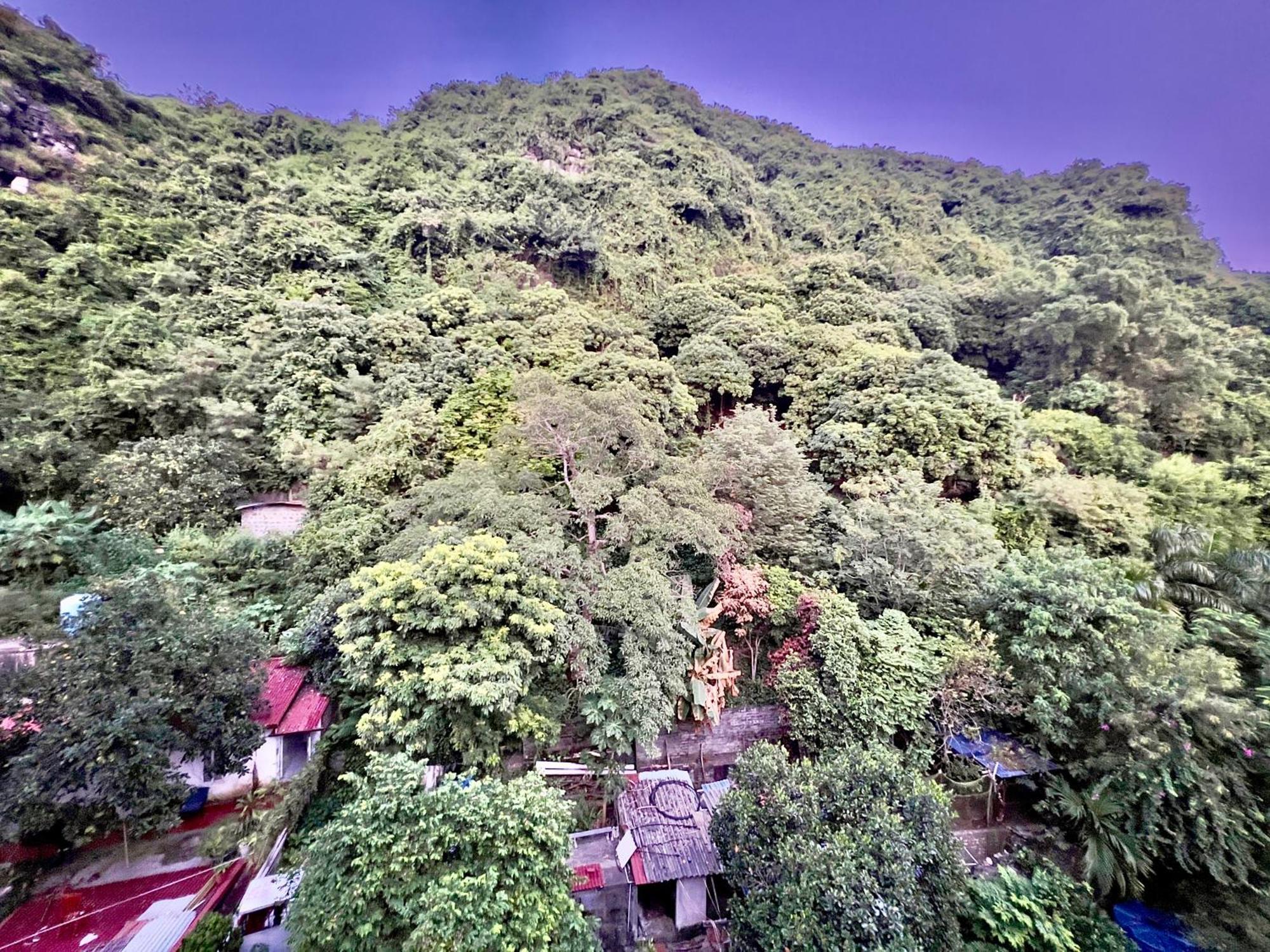 Manh Vuong Hotel Catba Dong Khe Sau 외부 사진